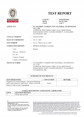 Test Report1